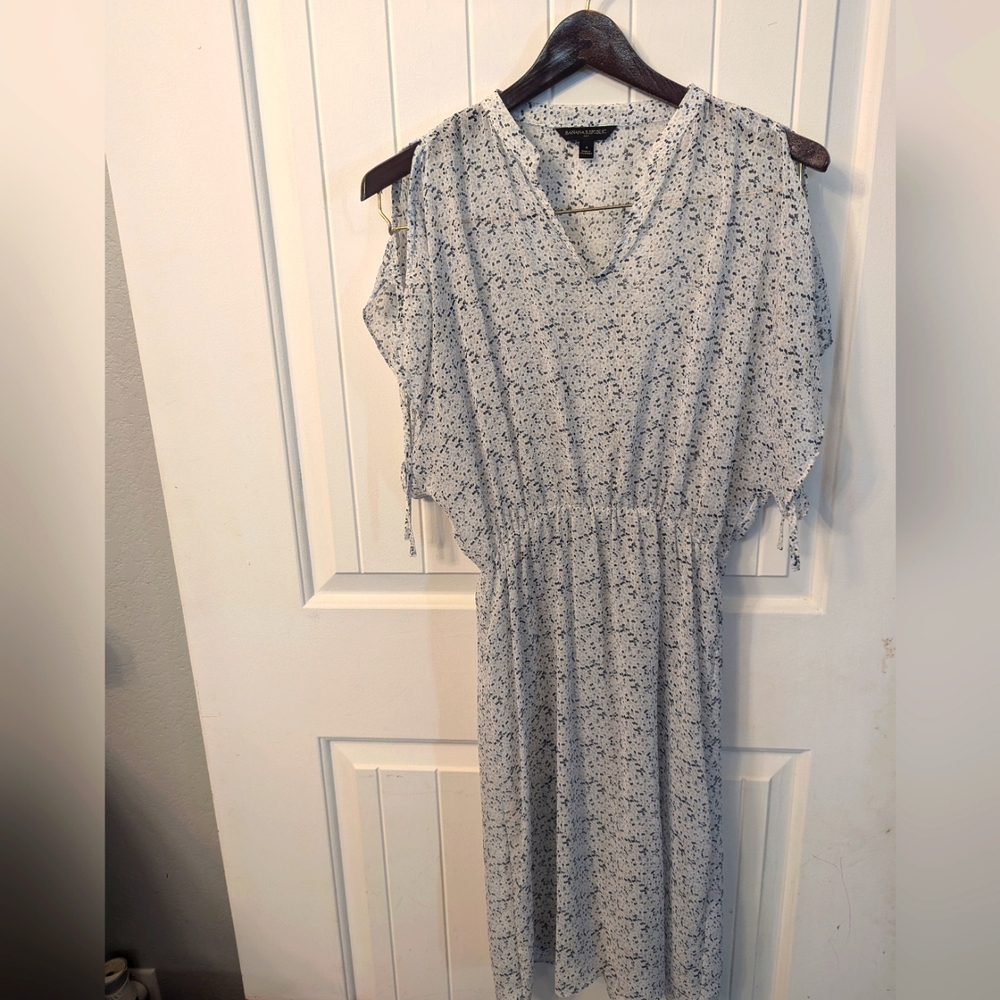 Banana Republic sheer dress